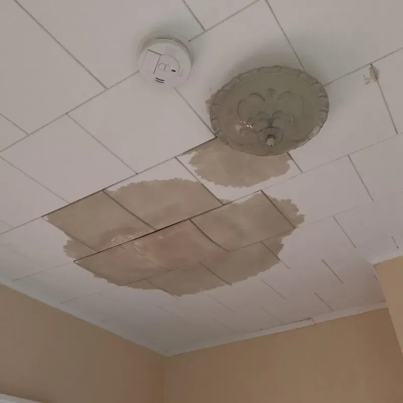 Ceiling Water Damage Repair in Pima County, AZ